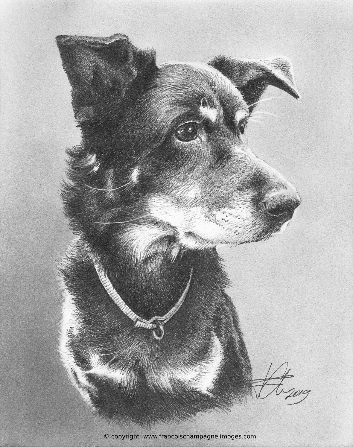 Becks_600dpi_w_copyright