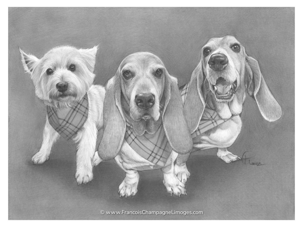 Commande de portrait privée / Private portrait&nbsp;commission