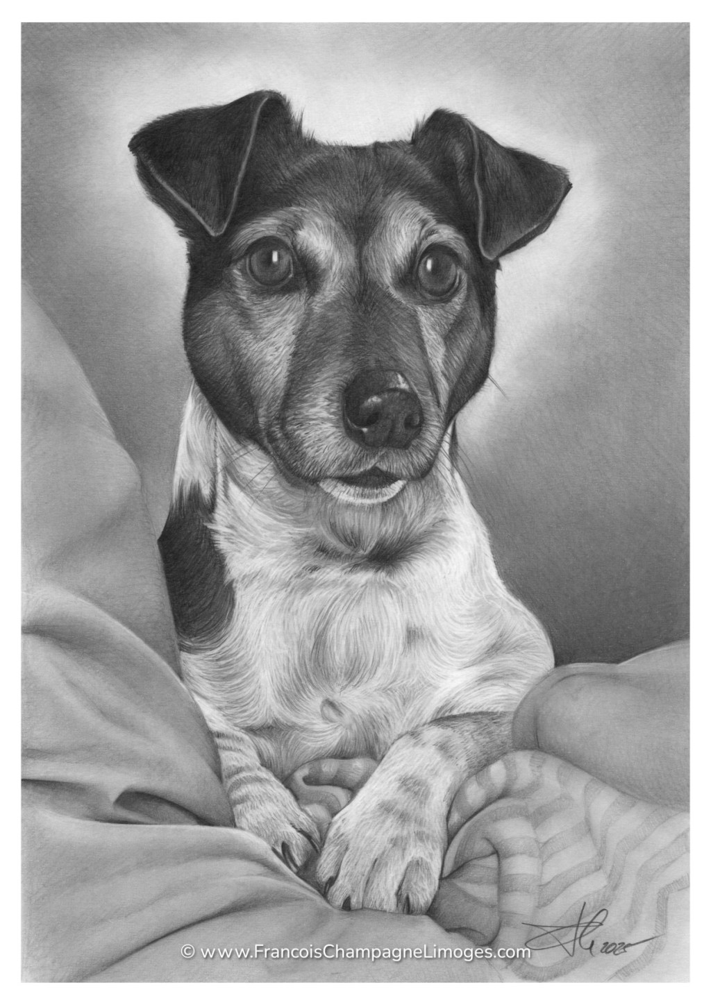 Commande de portrait privée / Private portrait&nbsp;commission