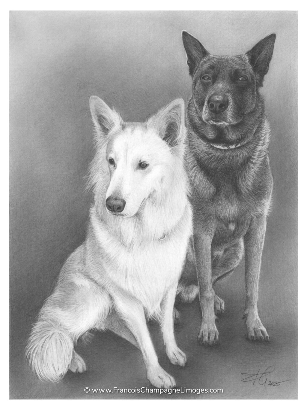 Commande de portrait privée / Private portrait&nbsp;commission