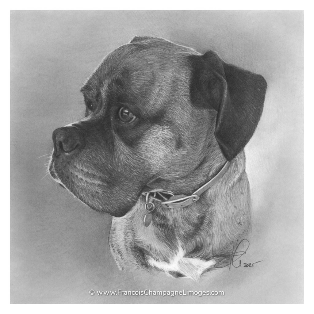 Commande de portrait privée / Private portrait&nbsp;commission