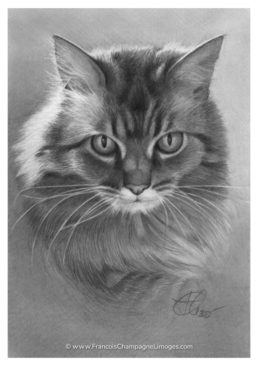 Commande de portrait privée / Private portrait&nbsp;commission