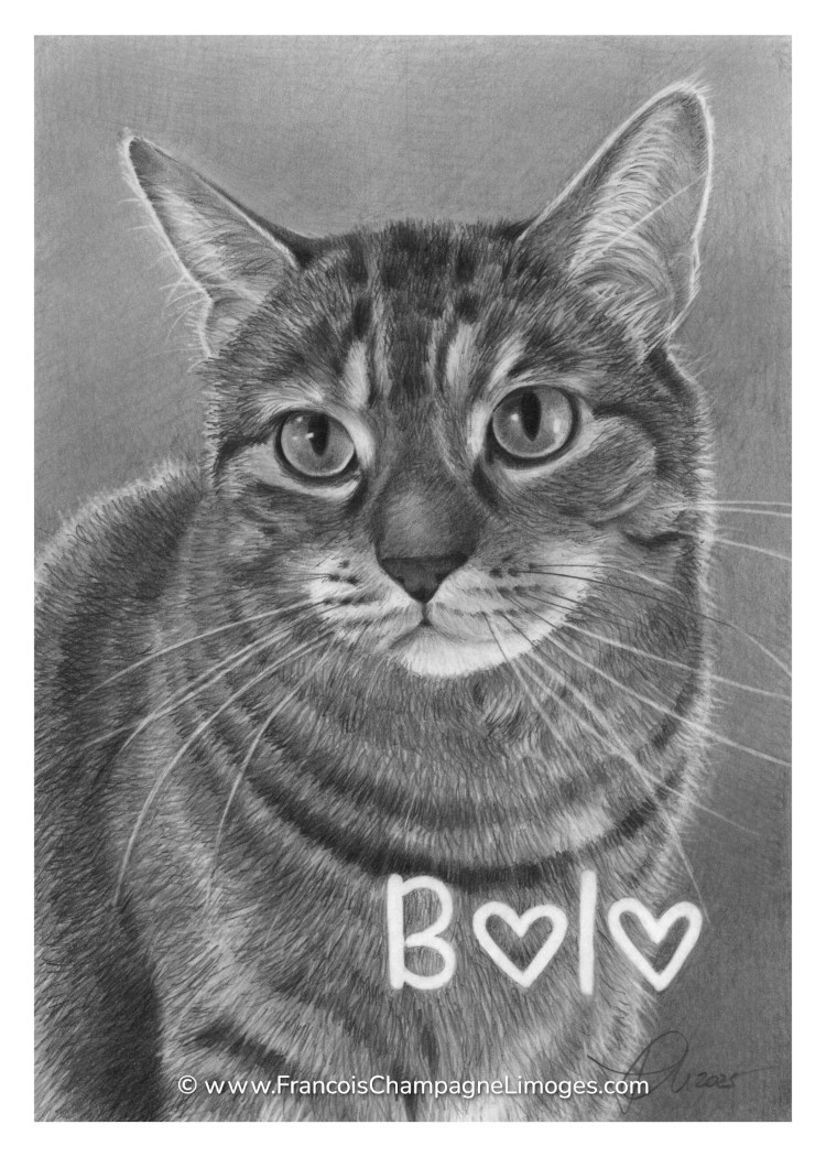 Commande de portrait privée / Private portrait&nbsp;commission